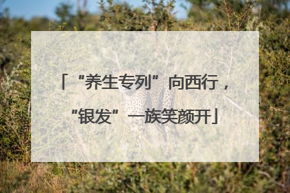 “养生专列”向西行，“银发”一族笑颜开